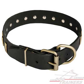 Dog collar with buckle and D-ring