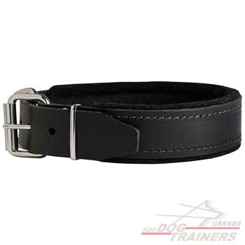 Leather Collar for Dog Attack Work