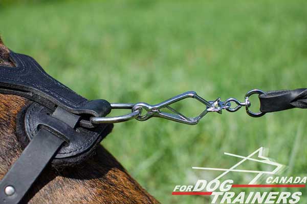 D-ring for leash for comfortable walking