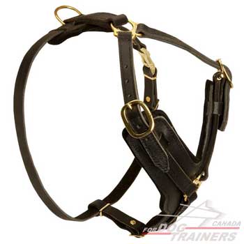 Dog leather harness grants easy adjustment