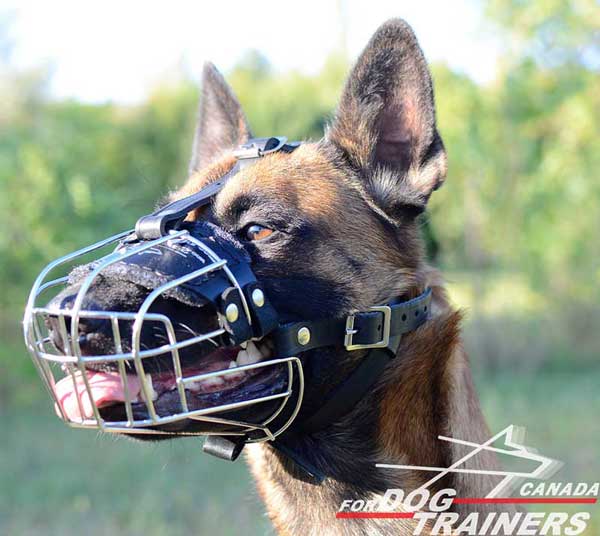 Wire Cage Muzzle for Belgian Malinois Training