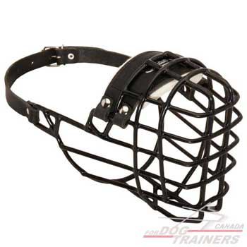 Wire Basket Dog Muzzle with Felt Padding for Batter Comfort 