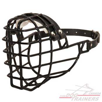 Wire Cage Dog Muzzle Rubber Covered
