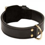 Agitation / Attack Training 2ply Leather Dog Collar