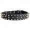 Fashion Leather Dog Collar wth Nickel Spikes for Everyday Walking