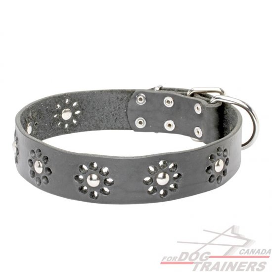 "Flower Blues" Leather Dog Collar for Walking in Style