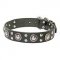Gorgeous 'Rock n Roll' Leather Dog Collar With Mix of Decorations