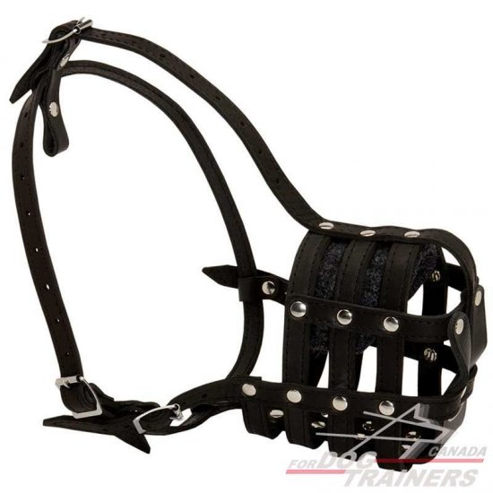 Leather Mesh Dog Basket Muzzle with Padded Nose Area