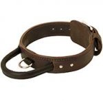 Leather Dog Collar with Handle for Agitation Training