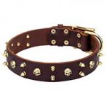 "Hard Rock" Leather Dog Collar with Brass Spikes and Skulls