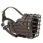 Wire Basket Dog Muzzle for Winter Walking or Training