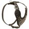 Walking Studded Leather Dog Harness
