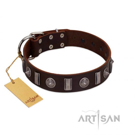 "Spiky Way" FDT Artisan Brown Leather dog Collar with Silver-Like Decorations