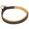 Padded Leather Dog Collar For Training And Walking