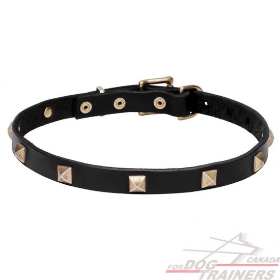 "Modern Style" Leather Dog Collar with Brass Studs