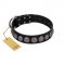 "Black Raven" Handmade FDT Artisan Black Leather dog Collar with Silver-Like Adornments