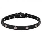 Leather Dog Collar with Chrome Plated Round Studs -"Antique Flowers" 4/5 inches (20 mm) wide