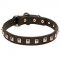 Fashion Leather Dog Collar with Nickel Caterpillar Studs