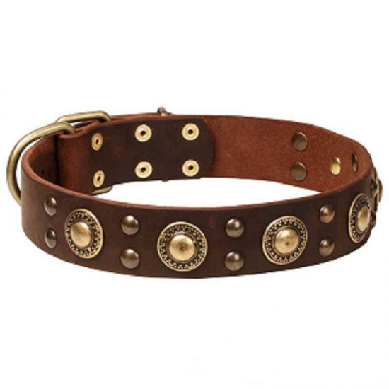 "Space-like" Leather Dog Collar with Brass Circles - 1 1/2 inch (40 mm) wide