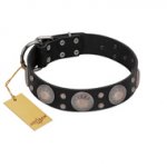 "Starry Sky" Trendy FDT Artisan Black Leather dog Collar with Large Brooches