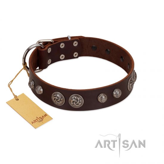 "Choco Brownie" FDT Artisan Brown Leather dog Collar Adorned with Silver-Like Conchos