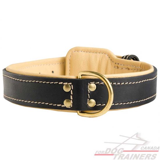 Walking and Training Nappa Leather Dog Collar