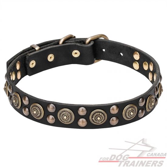 "Boho Style" 1 1/5 inch (30 mm) wide Leather Dog Collar with Massive Brass Decorations