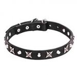"Blazing Stars" 1 inch (25 mm) Leather Dog Collar with Nickel Plated Stars and Pyramids