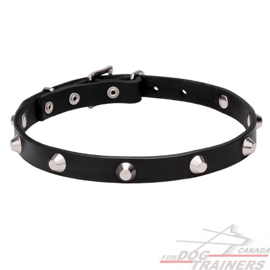 "Beauty & Elegance" Leather Dog Collar Adorned with Chrome Plated Pyramids - 4/5 inch (20 mm) wide