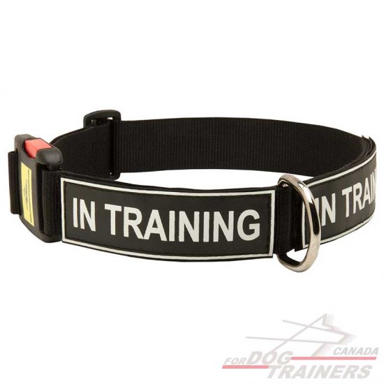 Any Weather Nylon Dog Collar with ID Patches and Quick Release Buckle