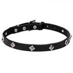 "Cosmic Stars" Narrow Leather Dog Collar with Chrome Plated Studs - 4/5 inch (20 mm) wide