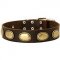 Leather Collar Decorated With Vintage Brass Ovals For Your Dog