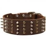 Spiked and Studded Leather Canine Collar for Walking
