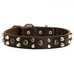 Leather Dog Collar with Studs and Pyramids