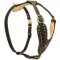 Walking Dog Harness Made Of Leather With Studded Wide Chest Plate