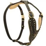 Walking Dog Harness Made Of Leather With Studded Wide Chest Plate