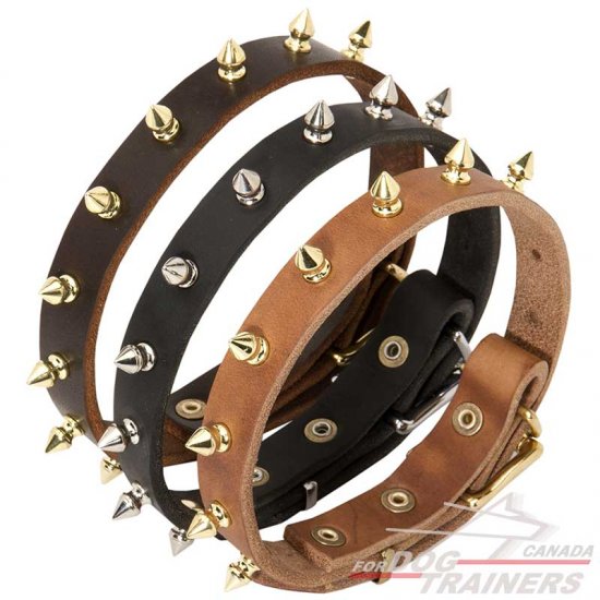 Royal Leather Collar Specially For Your Dog