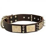 Designer Leather Dog Collar with Spikes and Plates