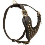 Adjustable Studded Leather Dog Harness for Walking and Training