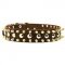 Classy Leather Dog Collar with Silverish Studs and Goldish Spikes