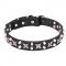 Fantastic Leather Dog Collar with Chrome Plated Hardware "Shining Stars" 1 1/5 inch (30 mm) Wide