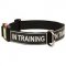 Any Weather Nylon Dog Collar with ID Patches and Quick Release Buckle