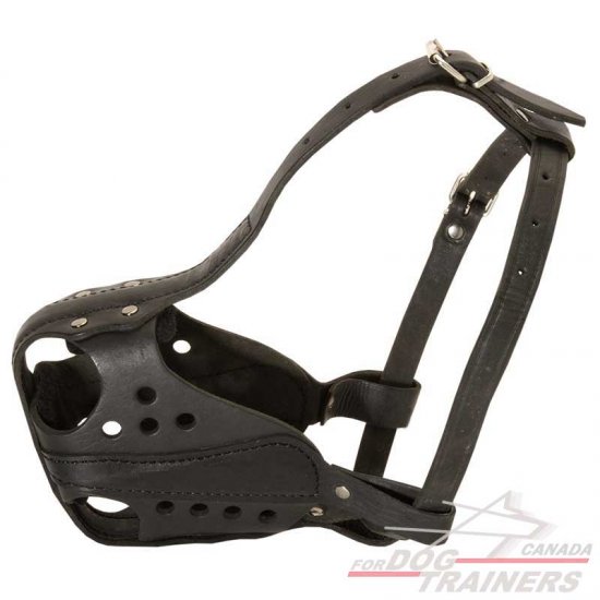 Hard Work Felt Padded Leather Dogs Muzzle