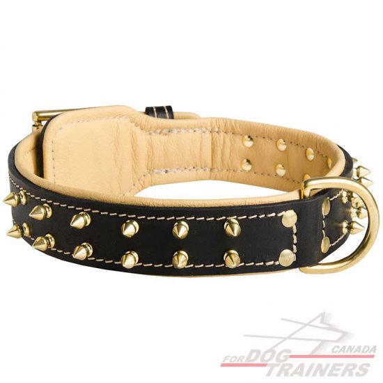 Nappa Leather Padded Spiked Dog Collar for Walking and Training