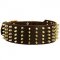 Designer Extra Wide Spiked Leather Dog Collar for Stylish Walks