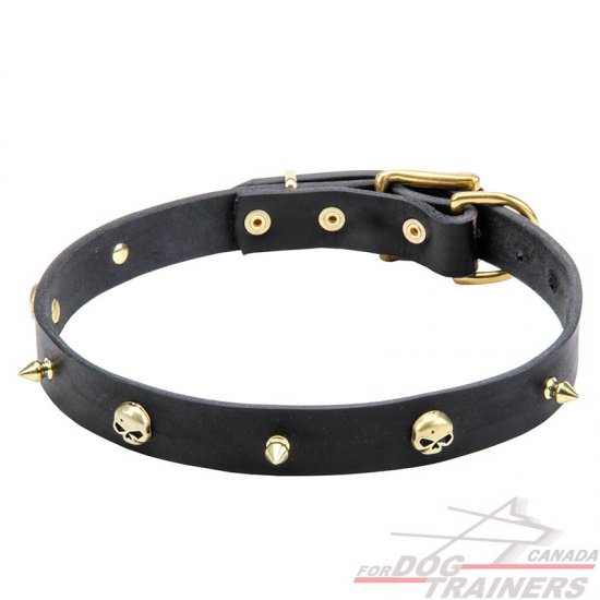 Leather Dog Collar with Golden-like Spikes and Skulls