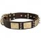Designer Leather Dog Collar with Spikes and Plates