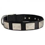 Fashion Nylon Dog Collar with Vintage Plates for Daily Walking