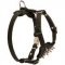 Exclusive Dog Puppies Harness for Training / Walking