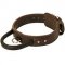 Leather Dog Collar with Handle for Agitation Training